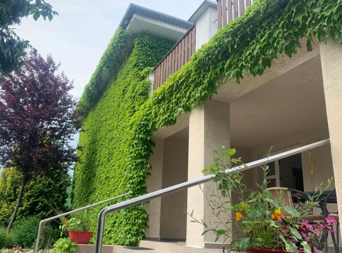 Dom V Zahrade Hotel Bellegszencse Kültér fotó